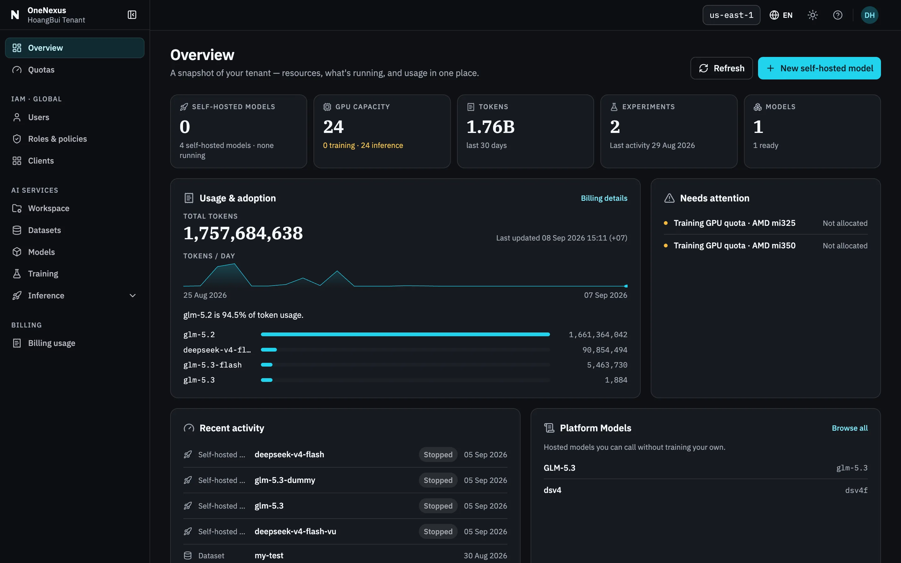 The Console Overview page. The header carries a region selector; tiles below count self-hosted models, GPU capacity, tokens, experiments and models, over a usage chart and a recent-activity list.